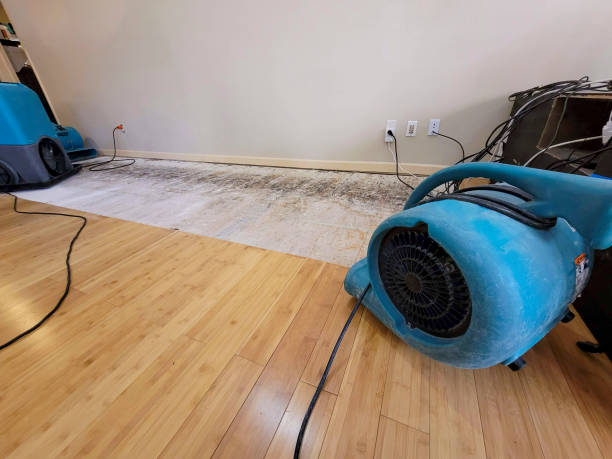 Professional Structural Drying technician working in Indian Hills, TX